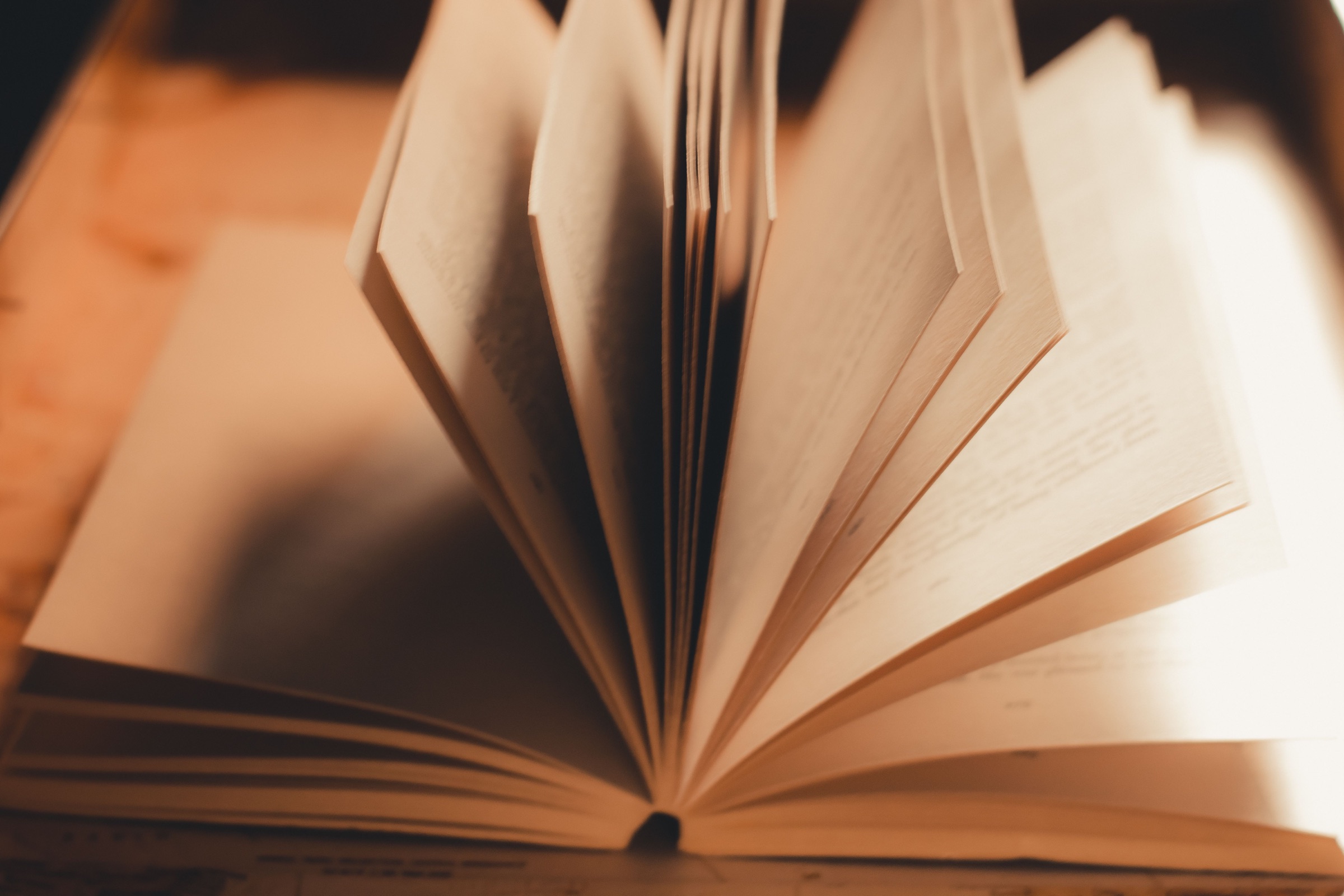 An open book rests in warm light.