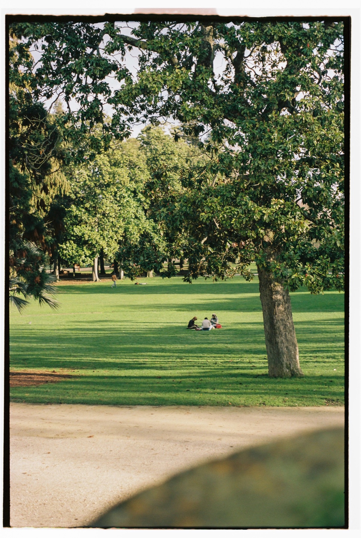 A small group sits together at a distance in a broad public park.